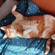 ヒメ日記 2025/03/26 09:07 投稿 ことは 鶯谷デリヘル倶楽部