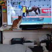 ヒメ日記 2025/04/01 17:35 投稿 ことは 鶯谷デリヘル倶楽部