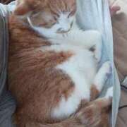 ヒメ日記 2025/04/07 11:22 投稿 ことは 鶯谷デリヘル倶楽部