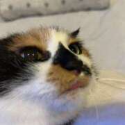 ヒメ日記 2025/05/18 06:53 投稿 ことは 鶯谷デリヘル倶楽部