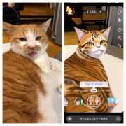 ヒメ日記 2025/05/19 13:15 投稿 ことは 鶯谷デリヘル倶楽部