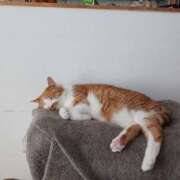 ヒメ日記 2025/06/18 11:30 投稿 ことは 鶯谷デリヘル倶楽部