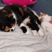 ヒメ日記 2025/06/22 07:42 投稿 ことは 鶯谷デリヘル倶楽部