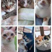 ヒメ日記 2025/06/28 12:04 投稿 ことは 鶯谷デリヘル倶楽部