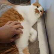 ヒメ日記 2025/08/17 10:03 投稿 ことは 鶯谷デリヘル倶楽部