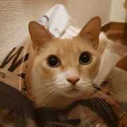 ヒメ日記 2025/10/04 11:22 投稿 ことは 鶯谷デリヘル倶楽部