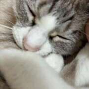 ヒメ日記 2025/10/07 15:25 投稿 ことは 鶯谷デリヘル倶楽部