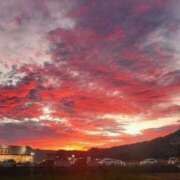 ことは お休みします 鶯谷デリヘル倶楽部