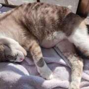 ヒメ日記 2026/02/08 11:32 投稿 ことは 鶯谷デリヘル倶楽部