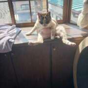 ことは ええーっと…🤔💭 鶯谷デリヘル倶楽部