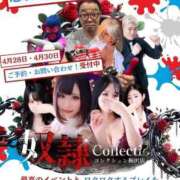 ヒメ日記 2025/04/28 08:30 投稿 ひなた 奴隷コレクション梅田店