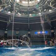 ヒメ日記 2025/06/17 14:00 投稿 逢沢みりあ やみつきエステ 渋谷店