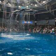 ヒメ日記 2025/07/08 12:01 投稿 逢沢みりあ やみつきエステ 渋谷店