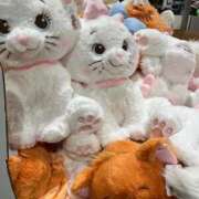 ヒメ日記 2025/10/21 13:39 投稿 逢沢みりあ やみつきエステ 渋谷店