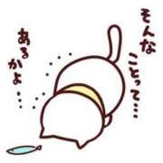 ヒメ日記 2024/04/13 17:12 投稿 めい 名古屋ちゃんこ