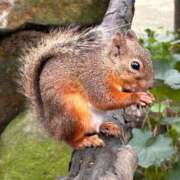 ヒメ日記 2025/09/14 19:11 投稿 るり ニュー不夜城