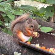 るり ありがとうございます❤️ 27日(土)完売‼️ ニュー不夜城