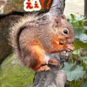 るり 新しく作りました🙄 ニュー不夜城