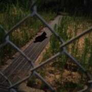 ヒメ日記 2025/08/11 23:45 投稿 あやめ 排泄マニア