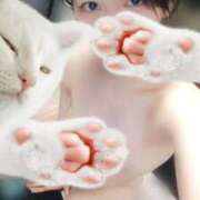 ヒメ日記 2025/08/20 23:45 投稿 あやめ 排泄マニア