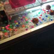 ヒメ日記 2025/08/21 23:45 投稿 あやめ 排泄マニア