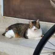 ヒメ日記 2025/08/29 23:45 投稿 あやめ 排泄マニア