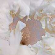 ヒメ日記 2025/08/31 23:45 投稿 あやめ 排泄マニア