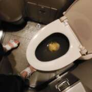 ヒメ日記 2025/09/08 23:45 投稿 あやめ 排泄マニア