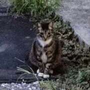 ヒメ日記 2025/09/10 23:45 投稿 あやめ 排泄マニア