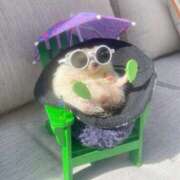 ヒメ日記 2025/09/12 23:45 投稿 あやめ 排泄マニア