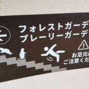 ヒメ日記 2025/09/28 23:45 投稿 あやめ 排泄マニア