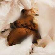 ヒメ日記 2025/10/03 23:45 投稿 あやめ 排泄マニア