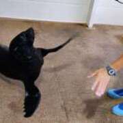 ヒメ日記 2025/10/16 23:45 投稿 あやめ 排泄マニア