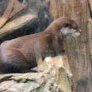 ヒメ日記 2025/10/17 23:45 投稿 あやめ 排泄マニア