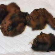 ヒメ日記 2025/10/20 23:45 投稿 あやめ 排泄マニア