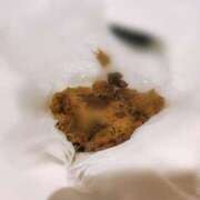 ヒメ日記 2025/11/01 23:45 投稿 あやめ 排泄マニア