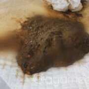 ヒメ日記 2025/11/08 23:45 投稿 あやめ 排泄マニア