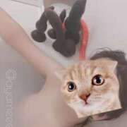 ヒメ日記 2025/11/10 23:45 投稿 あやめ 排泄マニア