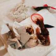 ヒメ日記 2025/11/11 23:45 投稿 あやめ 排泄マニア