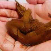 ヒメ日記 2025/11/26 23:45 投稿 あやめ 排泄マニア