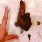 ヒメ日記 2025/12/09 23:45 投稿 あやめ 排泄マニア