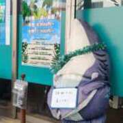 ヒメ日記 2025/12/11 23:45 投稿 あやめ 排泄マニア