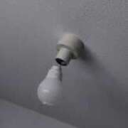 ヒメ日記 2025/12/16 23:45 投稿 あやめ 排泄マニア