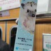 ヒメ日記 2025/12/17 23:45 投稿 あやめ 排泄マニア