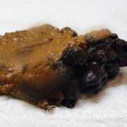 ヒメ日記 2025/12/24 23:45 投稿 あやめ 排泄マニア