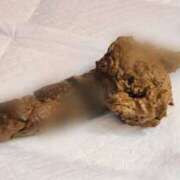 ヒメ日記 2025/12/29 23:45 投稿 あやめ 排泄マニア