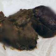 ヒメ日記 2025/12/31 23:45 投稿 あやめ 排泄マニア