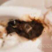 ヒメ日記 2026/01/04 23:45 投稿 あやめ 排泄マニア