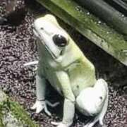 ヒメ日記 2026/01/18 23:45 投稿 あやめ 排泄マニア