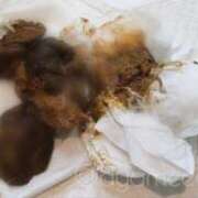 ヒメ日記 2026/02/08 23:45 投稿 あやめ 排泄マニア